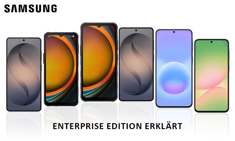 Samsung Enterprise Edition erklärt